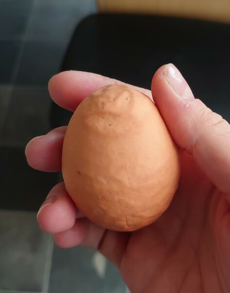 WTF is wrong with this egg?