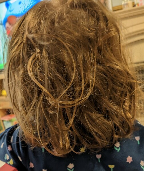 Help me tame DD's wild hair! Photo Attached 
