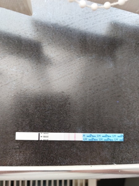 Class this a positive ovulation test or near?