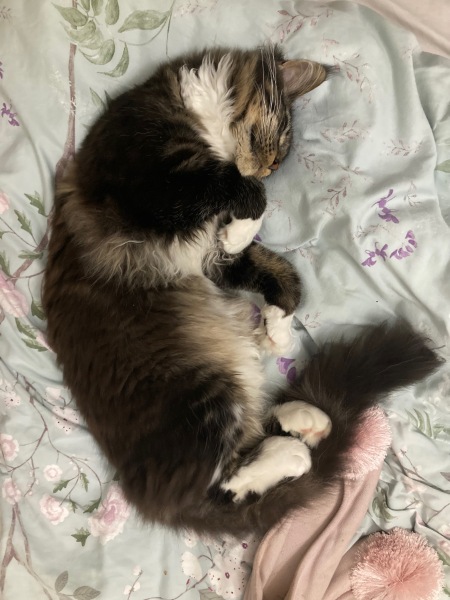 Cancer Support thread 86 - Stay Positive 