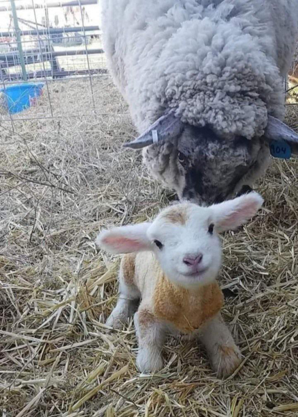 The Freedom Thread (continued) - A thread for people wanting to enjoy an alcohol free life. Everyone welcome!