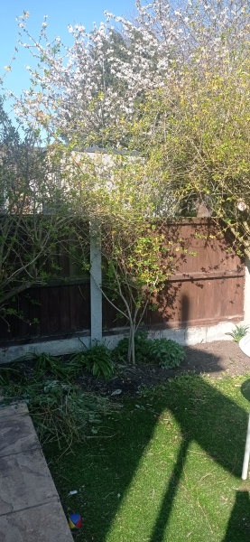 Ideas for what to put here please!