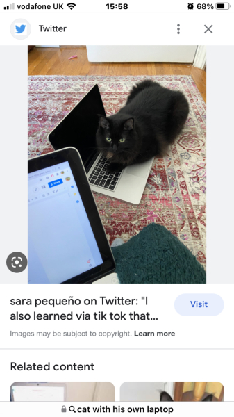 How to stop the cat sitting on the laptop?