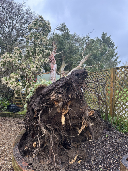 Stormy middle of week next week - 11th/12th April