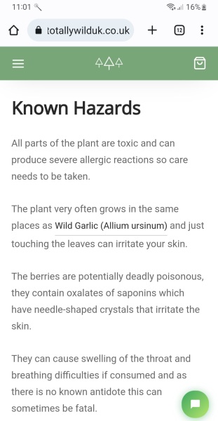 Weed or Plant??