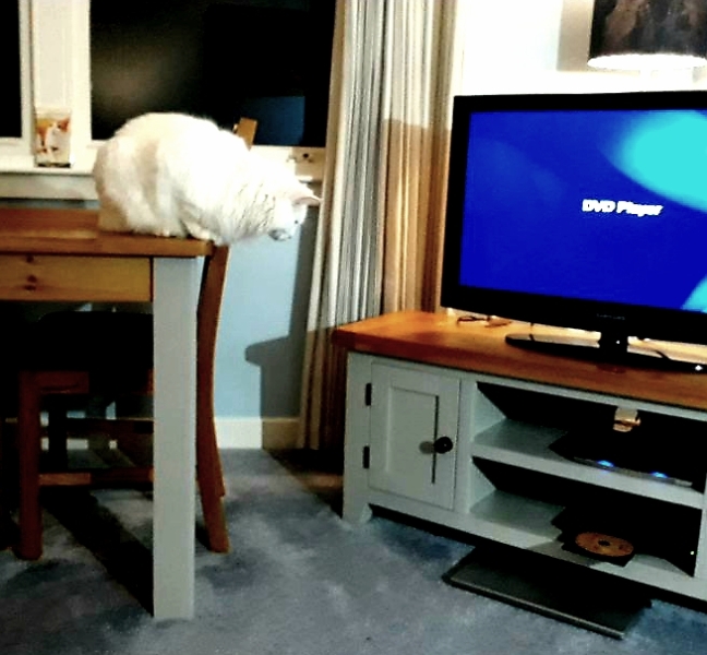 Autistic women assemble!