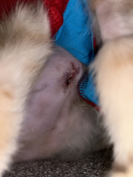 Does this wound look okay?