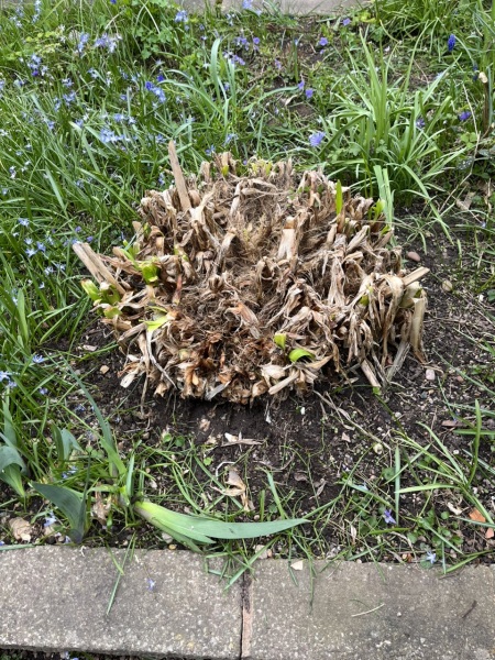 What is this and what can I do with it?