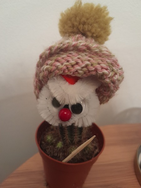 How do I remove sinister Santa outfit from a cactus?