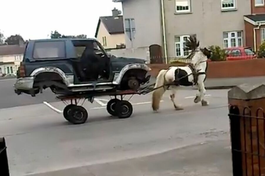 To think a horse is not comparable to a car