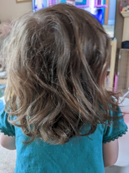 Help me tame DD's wild hair! Photo Attached 
