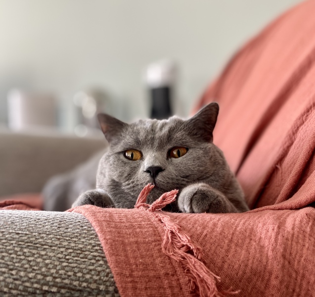 Thread 6 - TalkExiles: "Yup, still round."