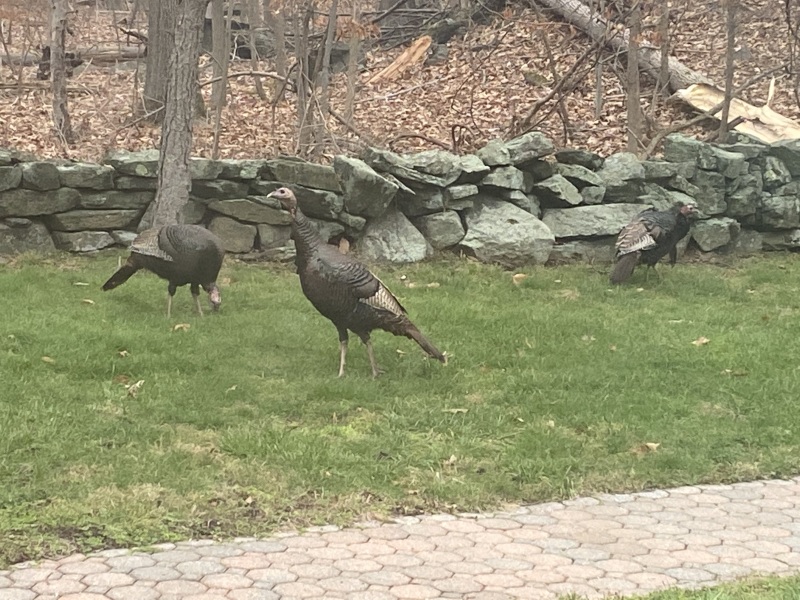 Come and tell me your dull and unexciting news 25: Calmly through the day 