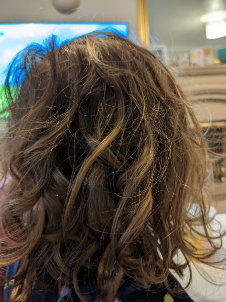 Help me tame DD's wild hair! Photo Attached 