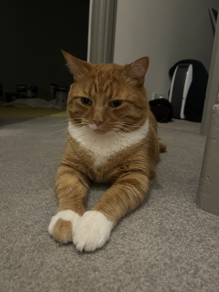 Autistic women assemble!