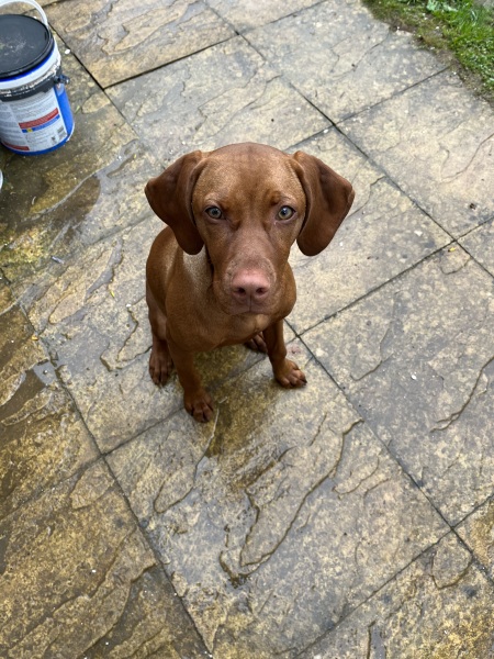 Cancer Support thread 86 - Stay Positive 