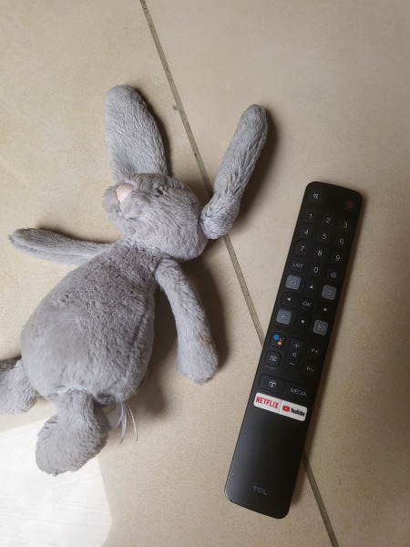 Anyone have a bunny rabbit like this? Desperate mum.