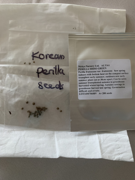 MsLatté’s Daebak Cybercafé (Kdrama addicts #40): The Filthy Noonas’ rapidly expanding flock gambol into spring with a giddiness only matched by Junkook’s drunken vlives