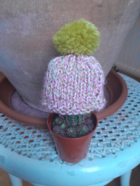 How do I remove sinister Santa outfit from a cactus?