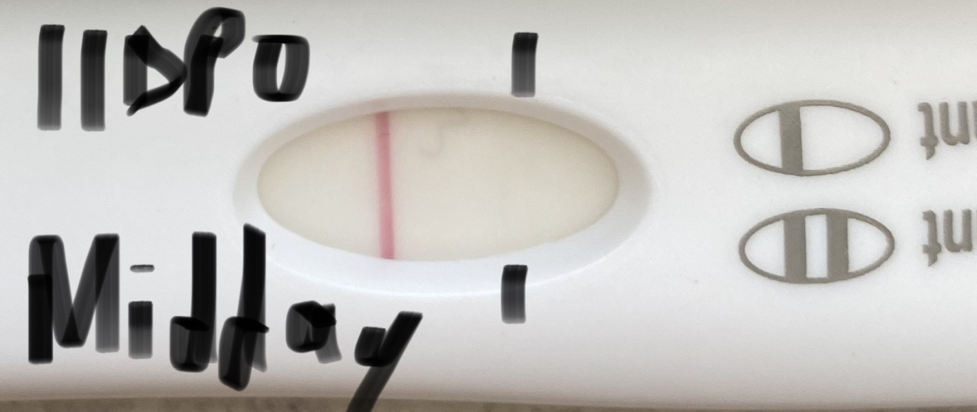 **BFaintP** 11DPO-12DPO