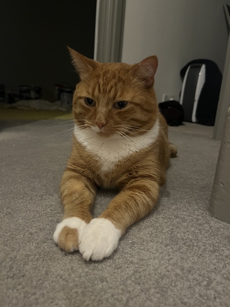 Meet Eddie