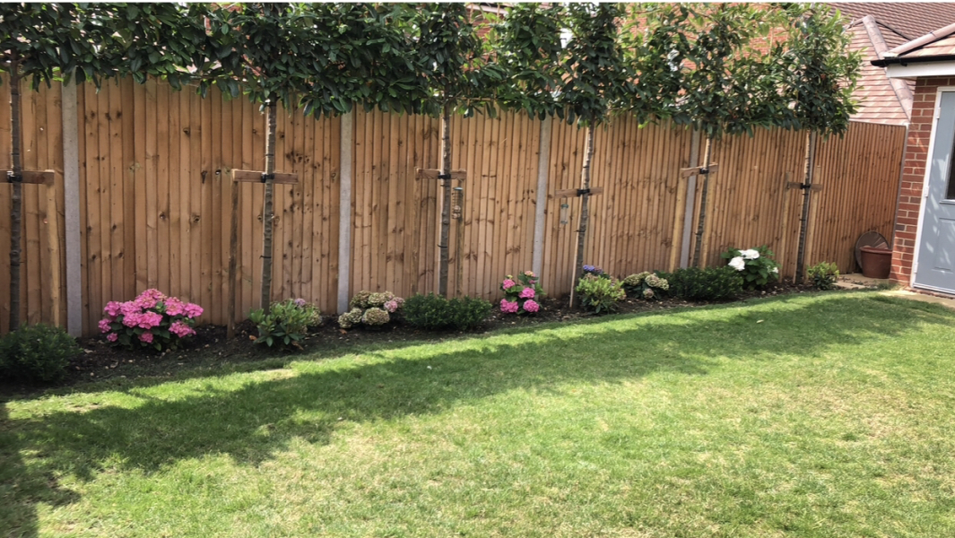 Garden borders - I don't know what I'm doing