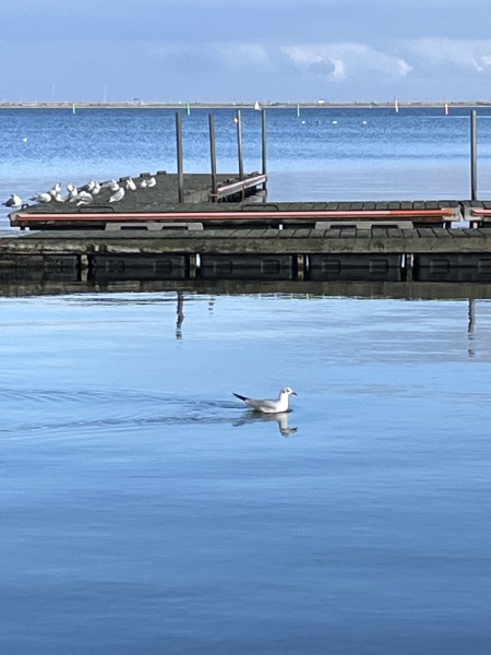 Autistic women assemble!