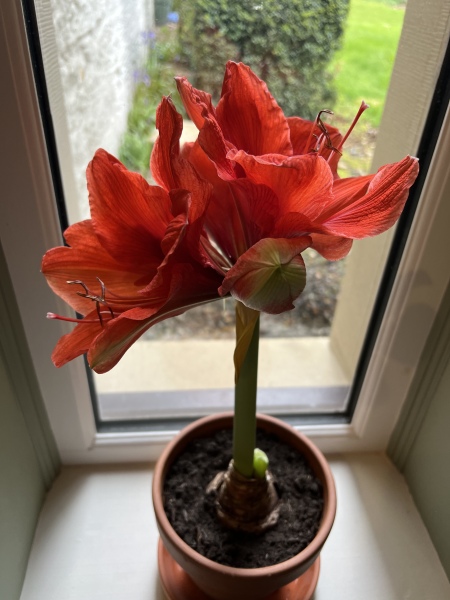 Show Us Your Pictures 6