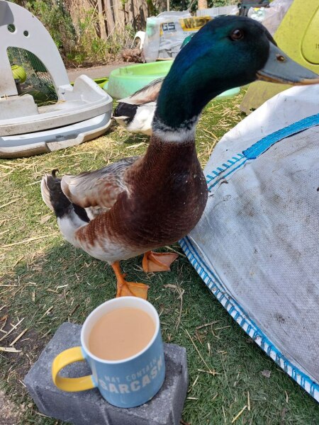 Ukraine Invasion: Part 39