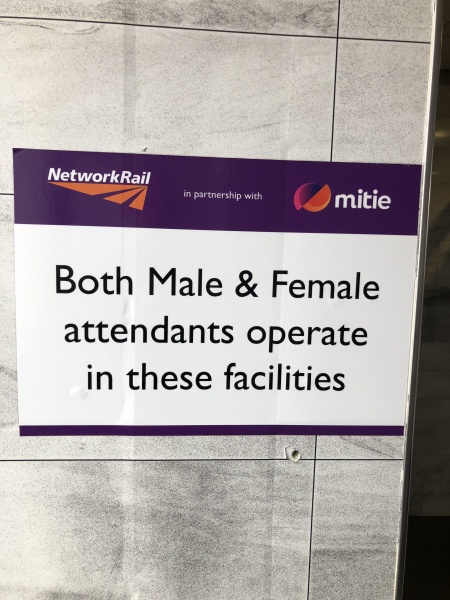 Loos 'cleaned by all genders'