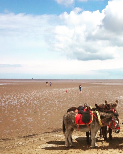 Judgement in Mermaids v Charity Commission tribunal expected in days