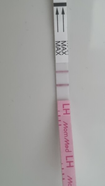 Opk and ovulation