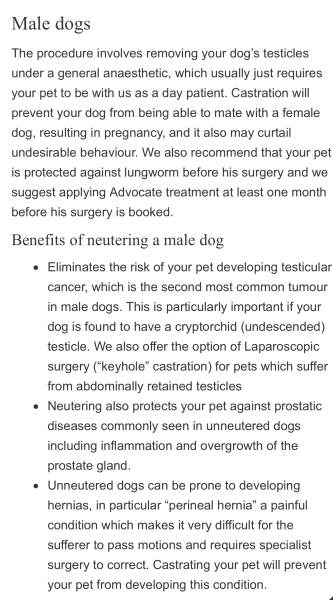 Neutering dogs