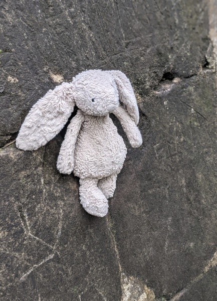 Anyone have a bunny rabbit like this? Desperate mum.