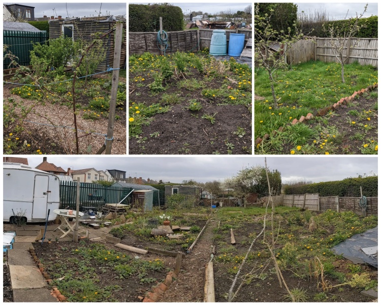 The Vegetable Patch Mark 2