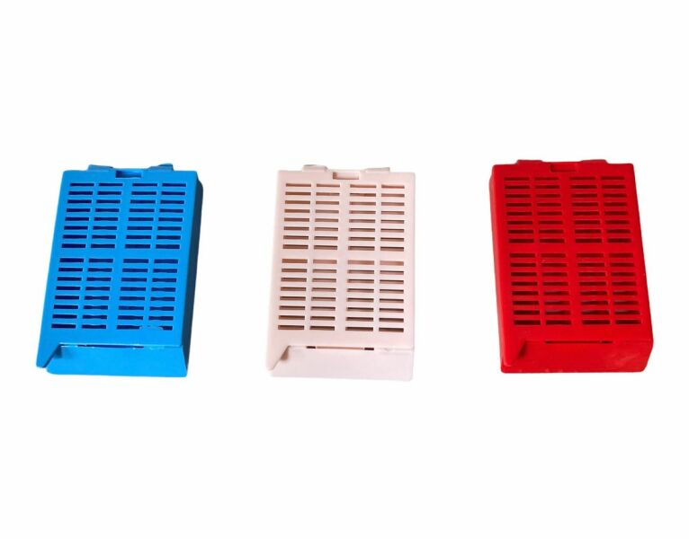 What are these called