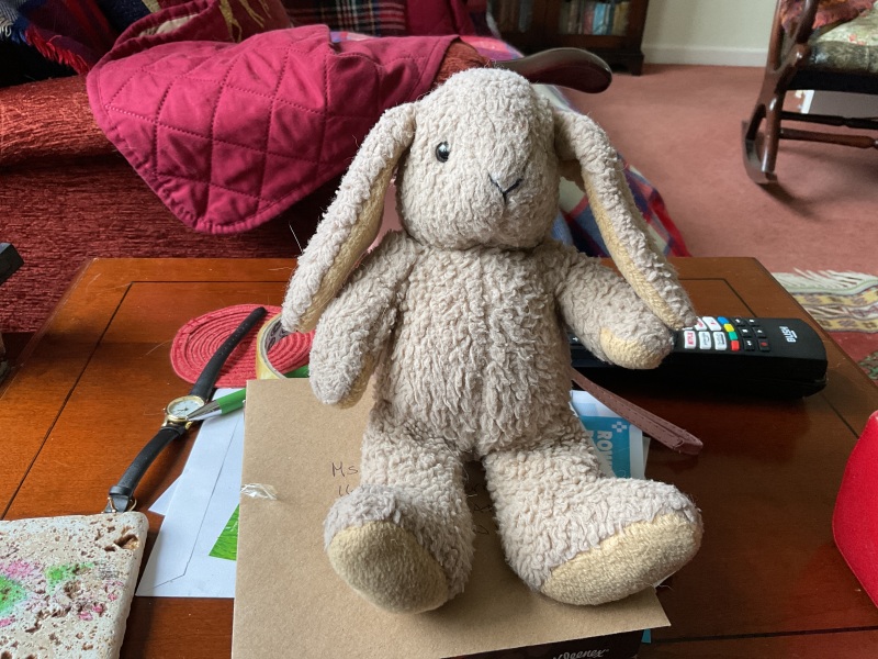Anyone have a bunny rabbit like this? Desperate mum.