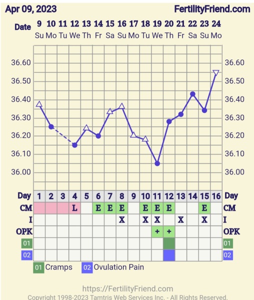 BBT question, no temp rise or base line 