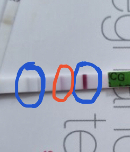 To think this test might be positive...?