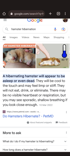I think my hamster is dying 😢 