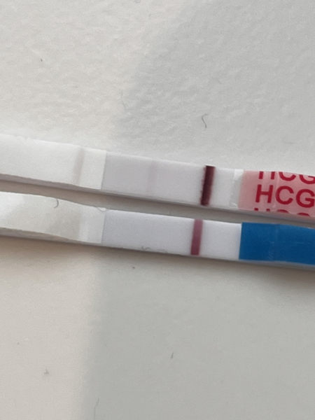 New day still confused by tests