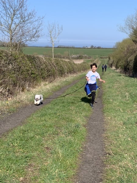 Puppy Survival Thread - as we approach Fireworks night for the first time…