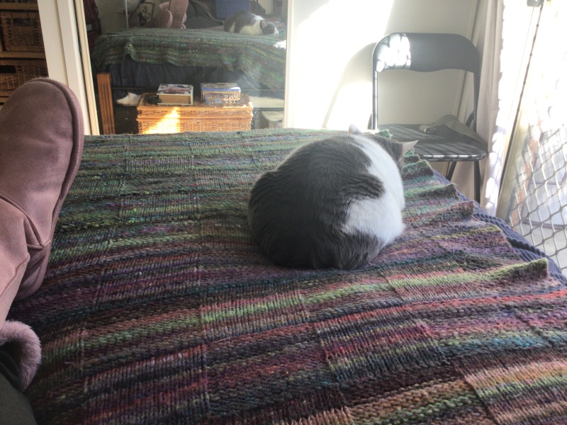 It's Crochet, Knit & Natter 10: New Year, New Yarn, New Thread!