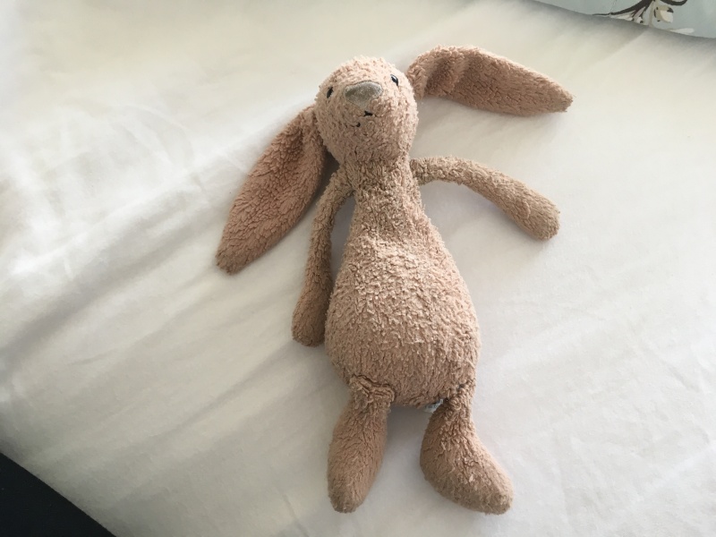 Anyone have a bunny rabbit like this? Desperate mum.
