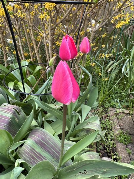 Autistic women assemble!