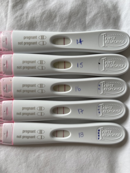 Anyone else 5 to 6 weeks pregnant?