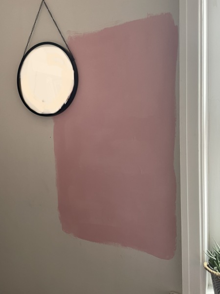 A pale pink wall paint that isn’t too blue? 🌸(With photos)