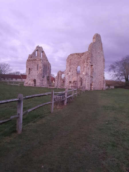 How do I remove sinister Santa outfit from a cactus?