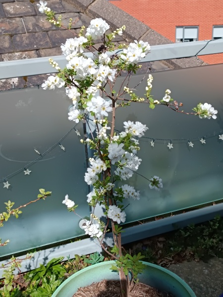 What is this please?