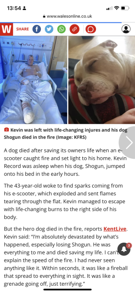 Great Dane now on the attack - please can we do something? *Distressing content warning*